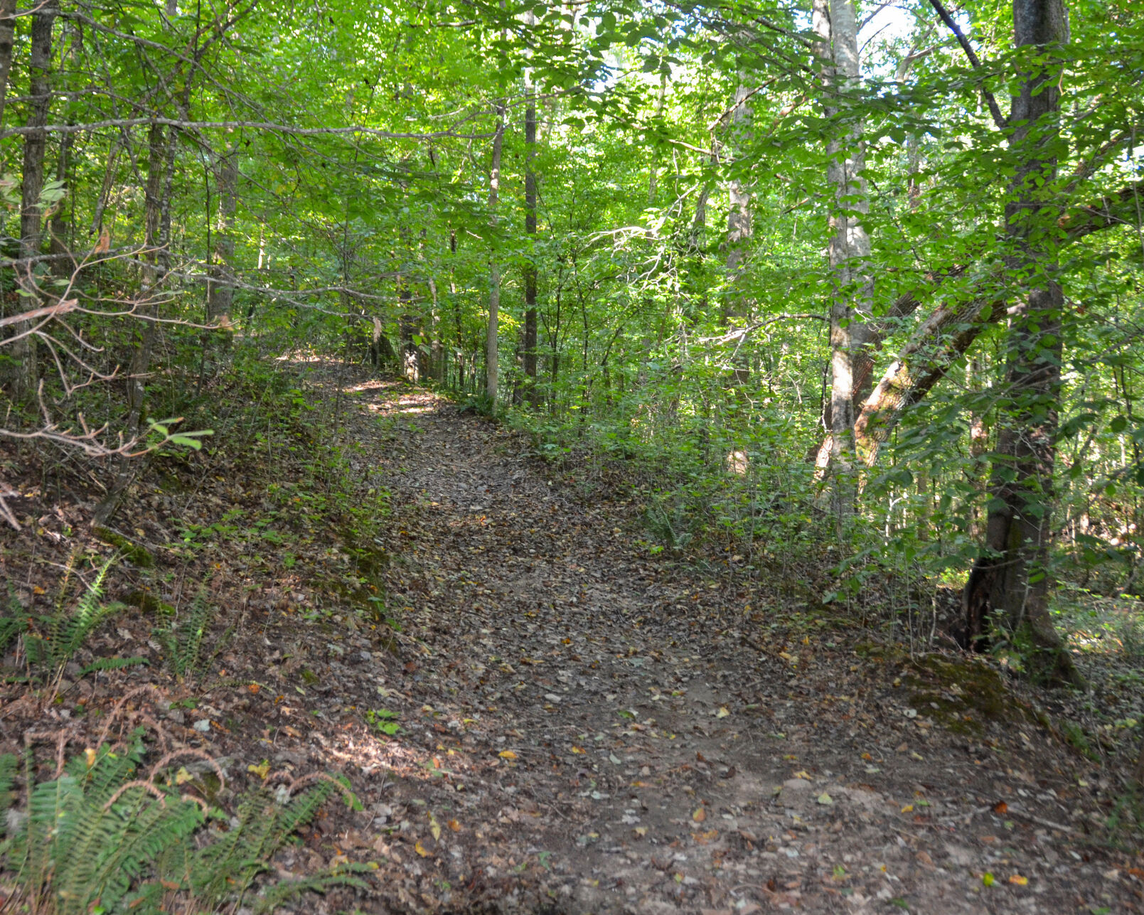 Lackey Road Greenspace